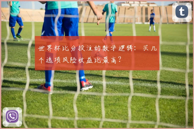 世界杯比分投注的数学逻辑：买几个选项风险收益比最高？